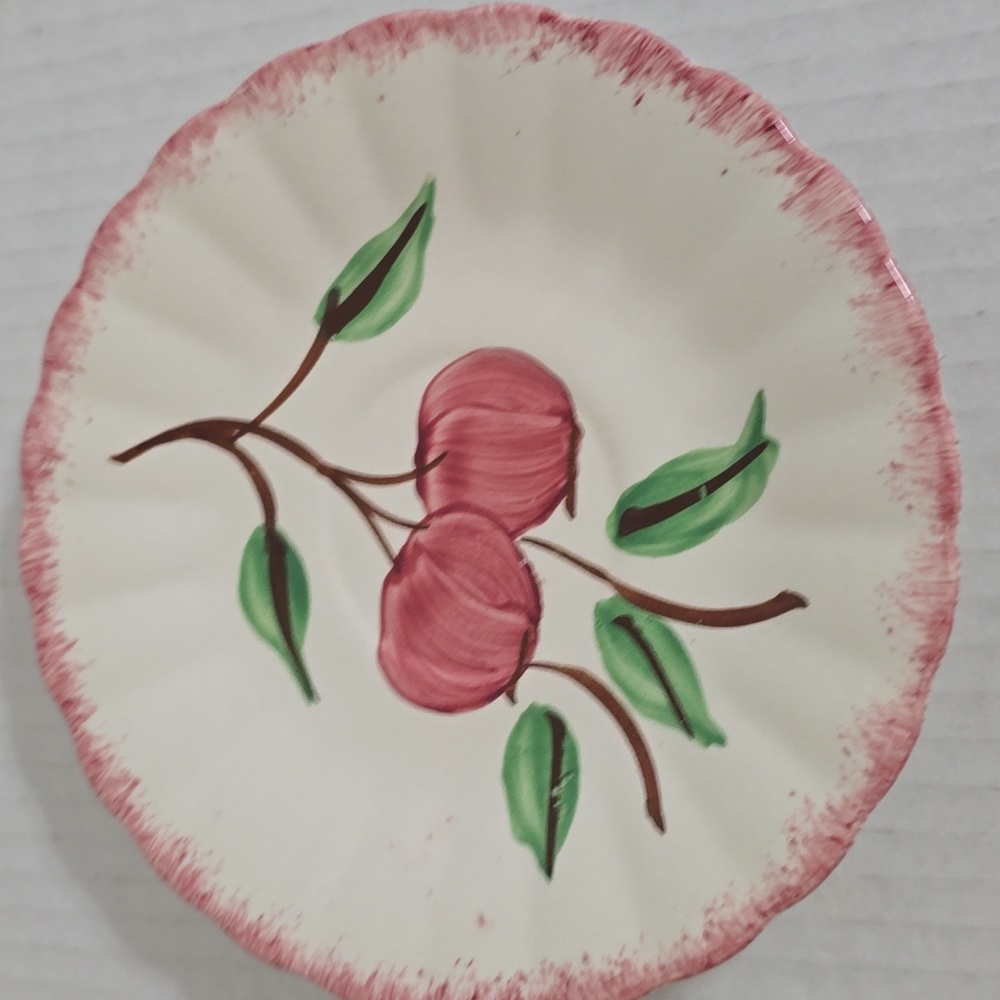 Vintage Unmarked Blue Ridge Pottery Floral Ceramic Saucer